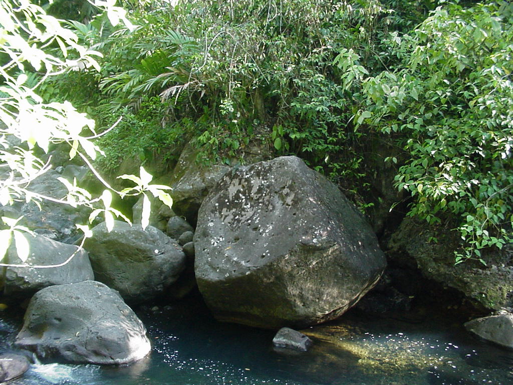 Costa Rica Project Photo